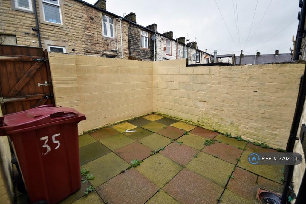 Back Garden