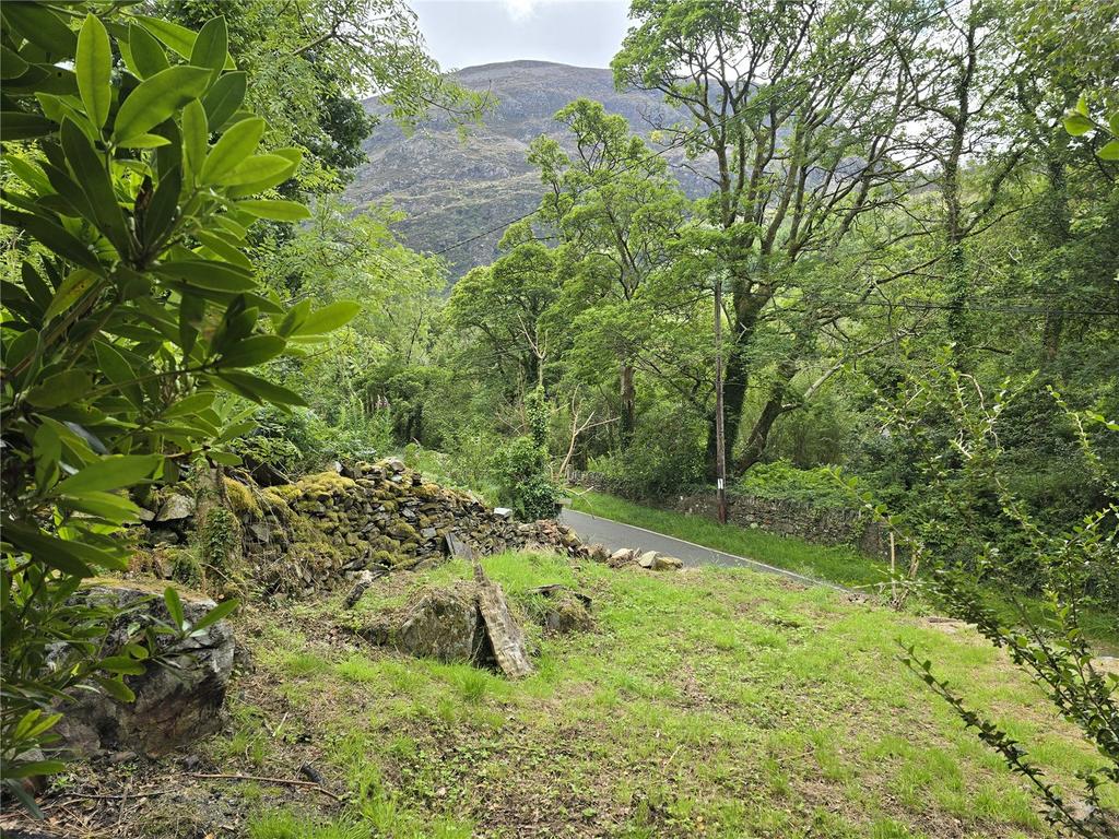 Picture No. 48