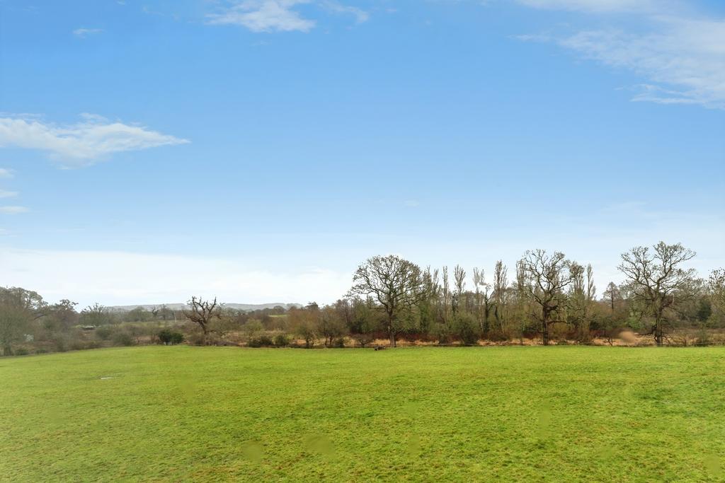 Field Views