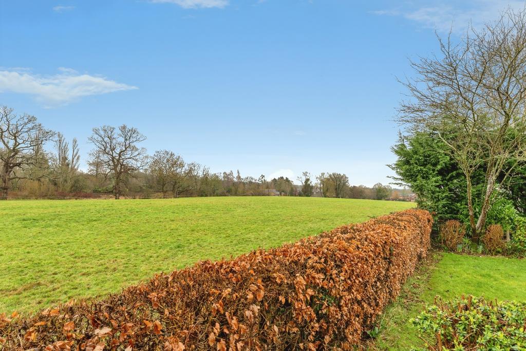 Field Views