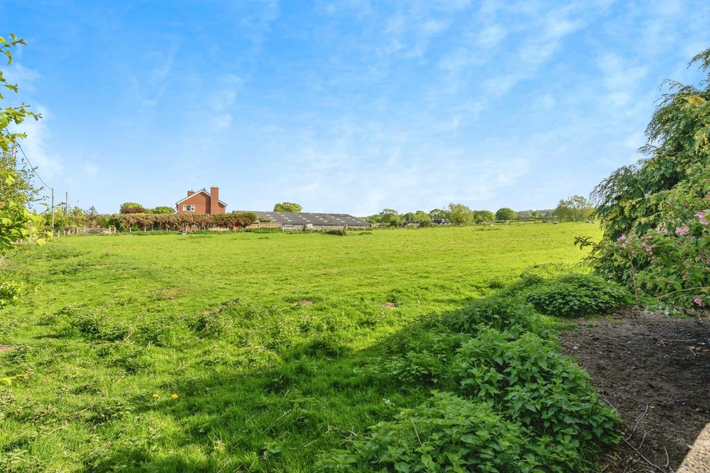 Neighbouring Field