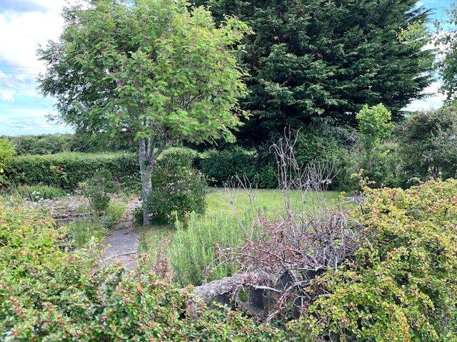 Additional Garden