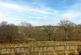 Additional image 33 of Gateside Road, Earls Rise, Stepps, North Lanarkshire