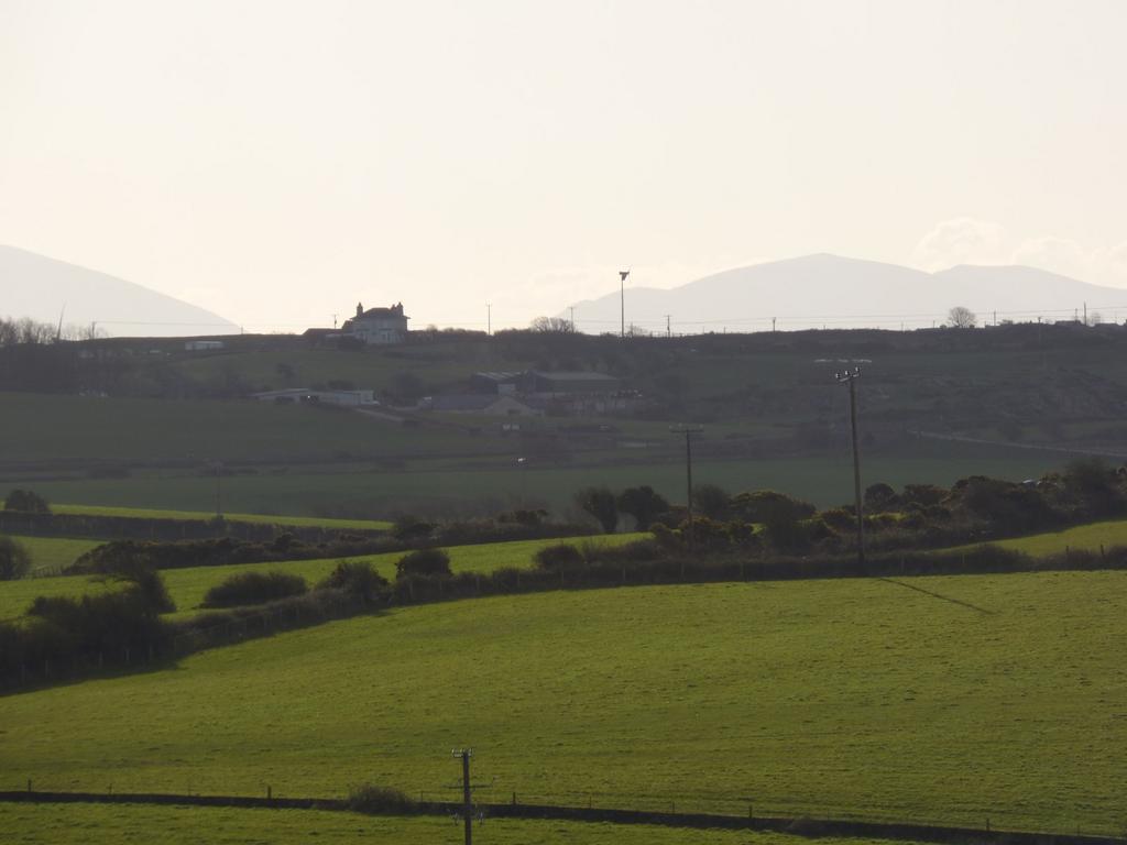 Open Rural Views wit
