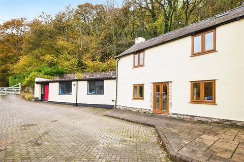 undefined, Cefn Bychan Woods, Pantymwyn, Mold, Flintshire, CH7