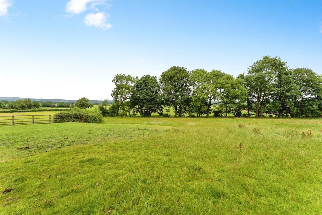 Field