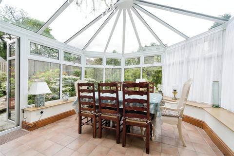 undefined, Oberon Woods, Beddgelert, Caernarfon, Gwynedd, LL55