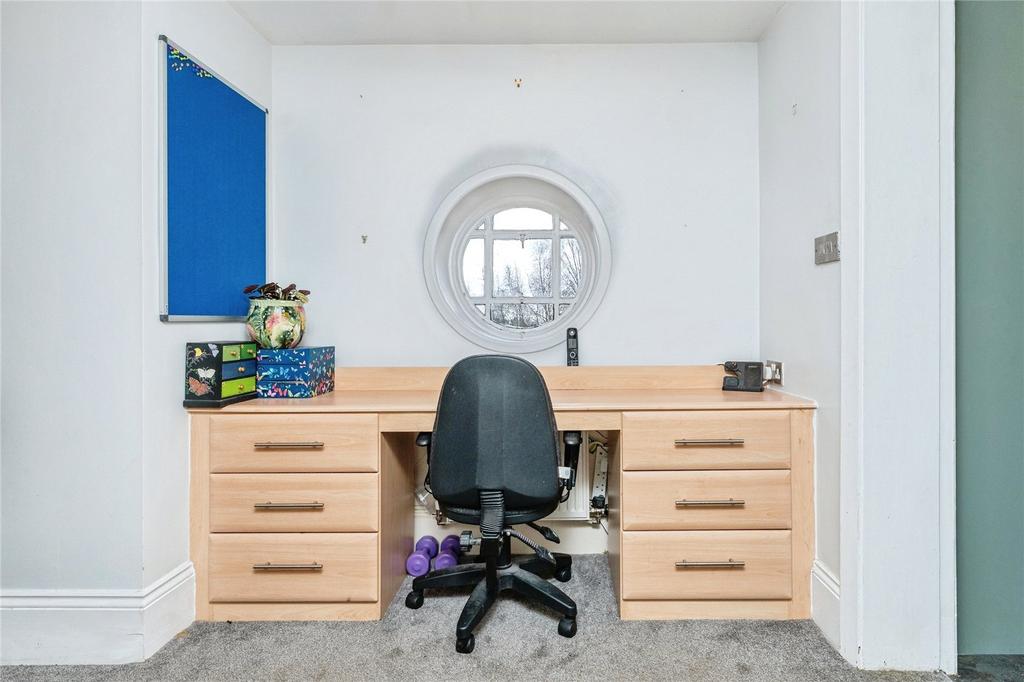 Study Area