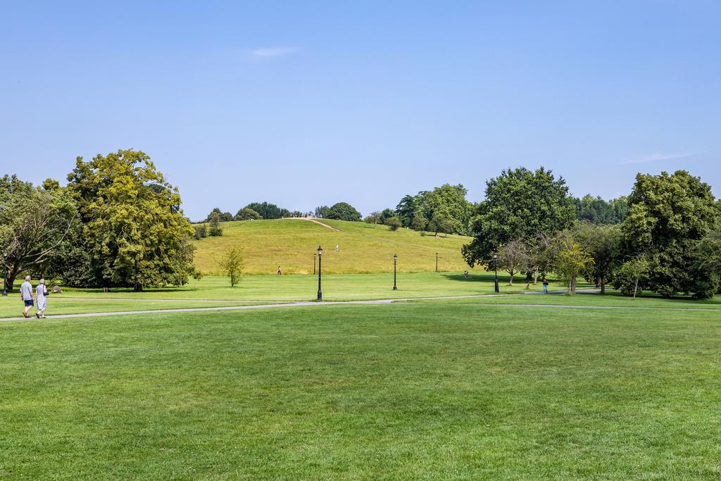 Primrose Area Hi-10