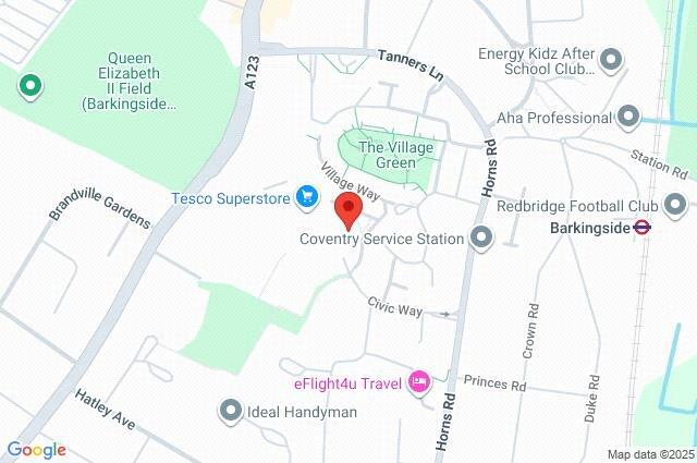 Google Maps Image