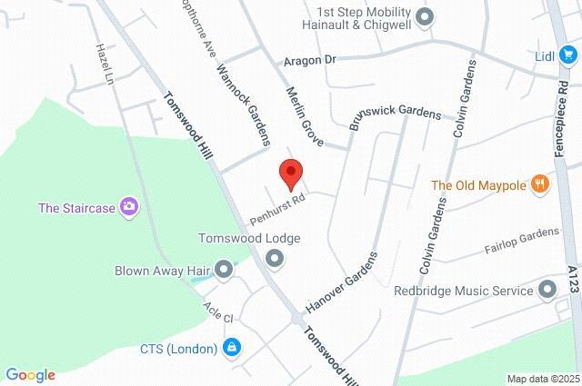 Google Maps Image