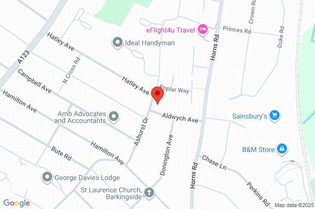 Google Maps Image