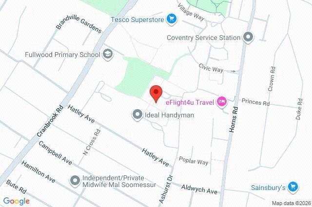 Google Maps Image