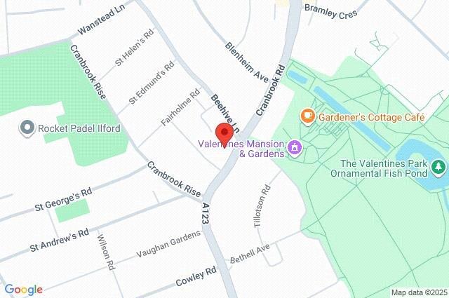 Google Maps Image