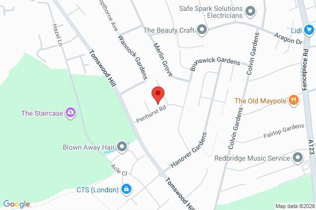 Google Maps Image