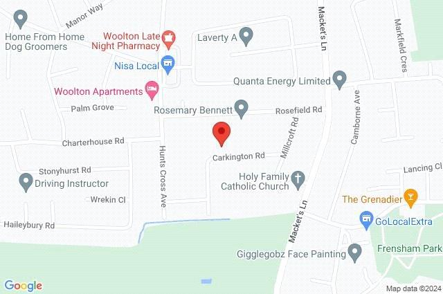 Google Maps Image