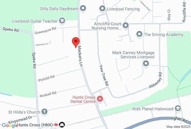 Google Maps Image