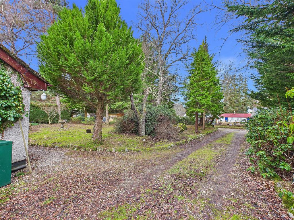 Driveway &amp; Garden