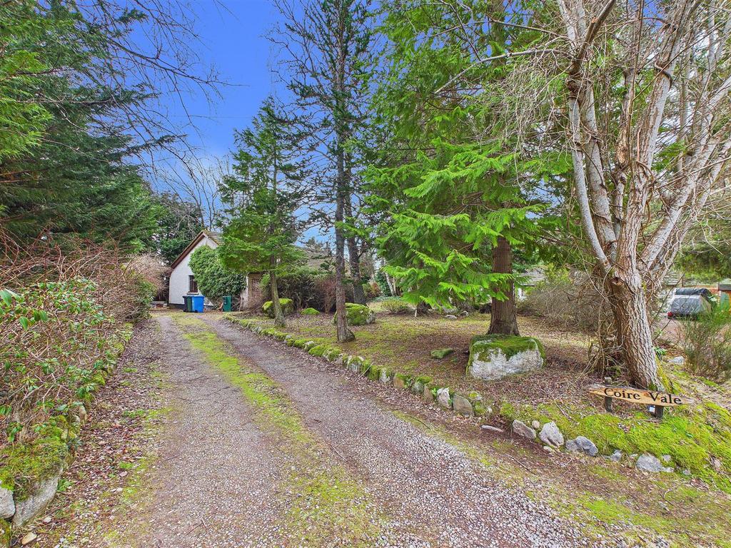 Driveway &amp; Garden