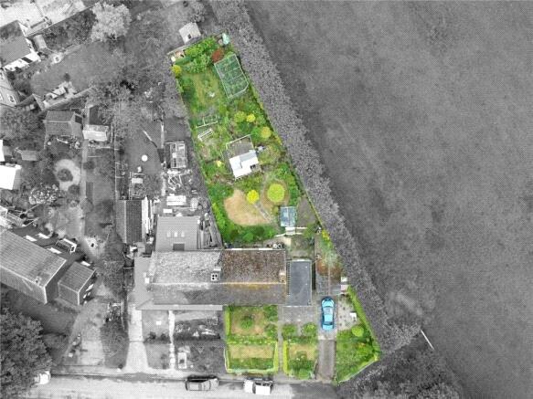Plot Size