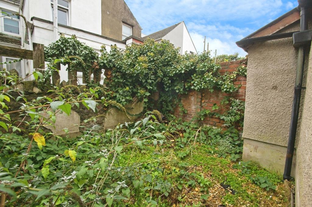 Rear Courtyard