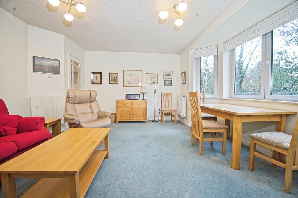 Living/Dining Area