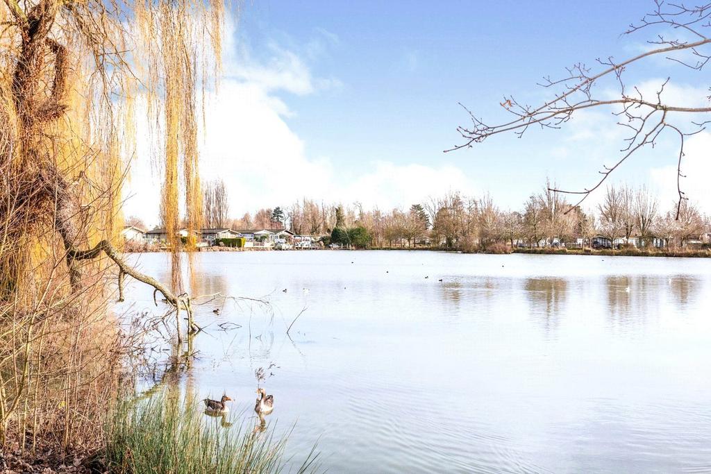 Lakeside View