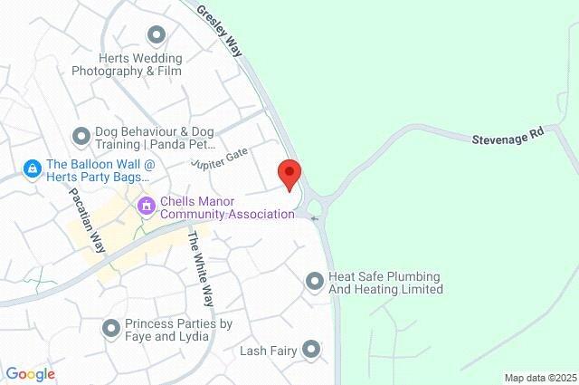 Google Maps Image