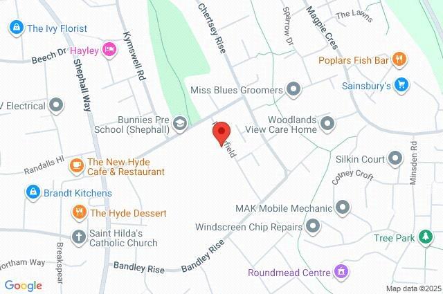 Google Maps Image