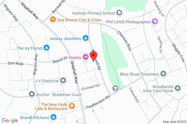 Google Maps Image