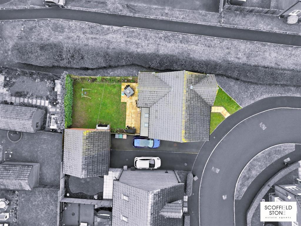Birdseye