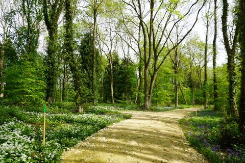 undefined, Wulfric Wood, near Sheffield, South Yorkshire S26