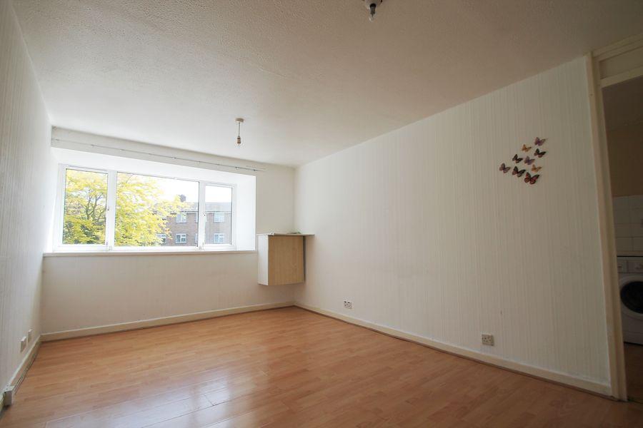 IMG 0396 newsize.JPG