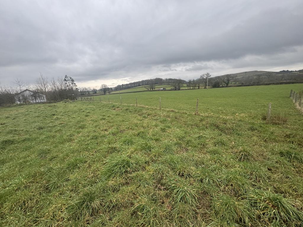 Site area