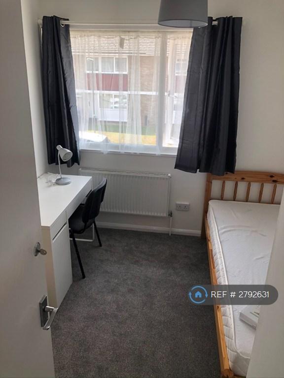Bedroom 4 (Upstairs Single)