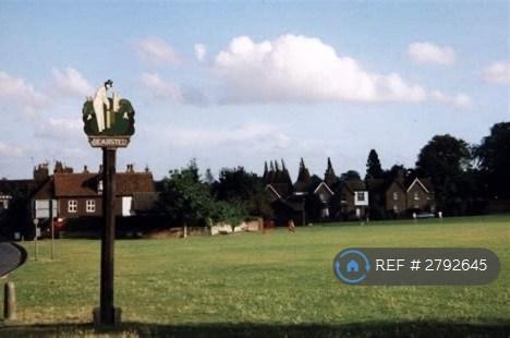 The Village Green