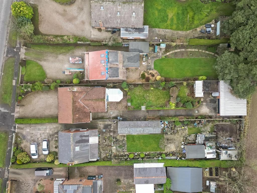 DJI 0984.jpg