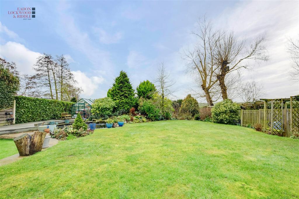 Back garden