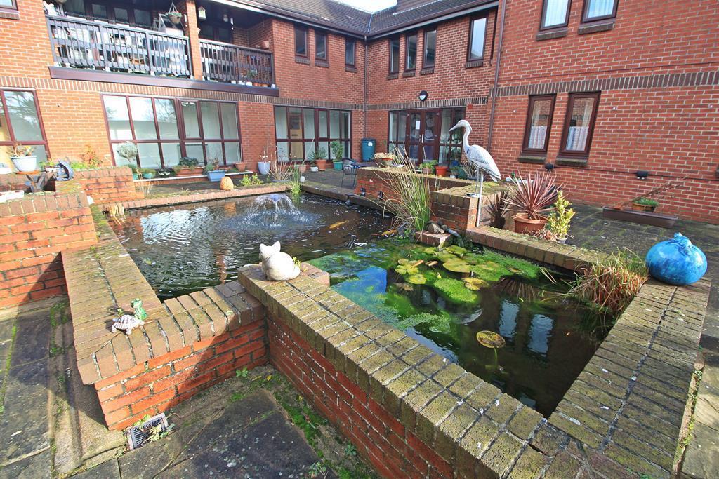 Fish pond.jpg