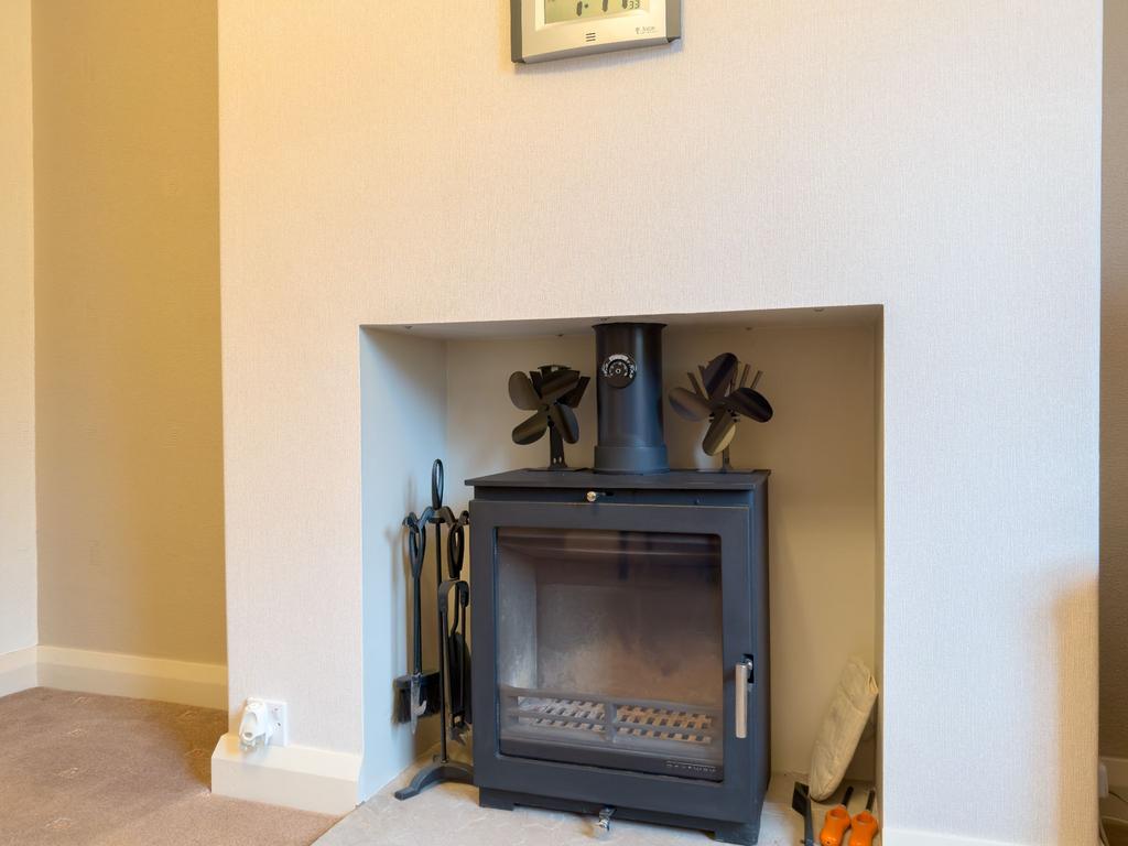 Multi fuel stove