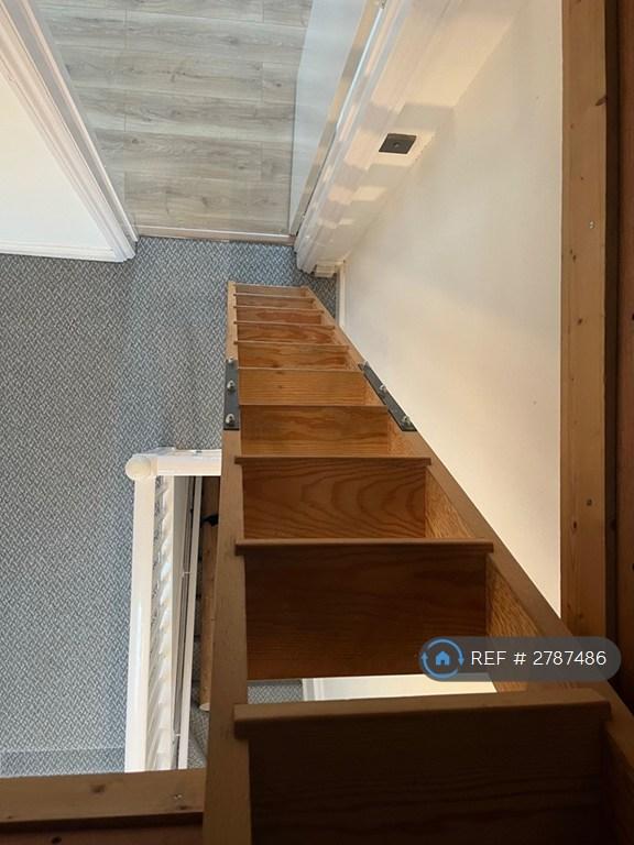 Loft Ladder