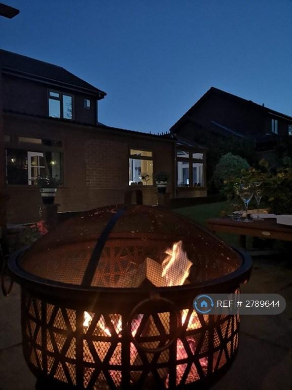Back Garden