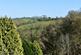 Additional image 11 of Ryall, Bridport
