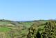Additional image 12 of Ryall, Bridport