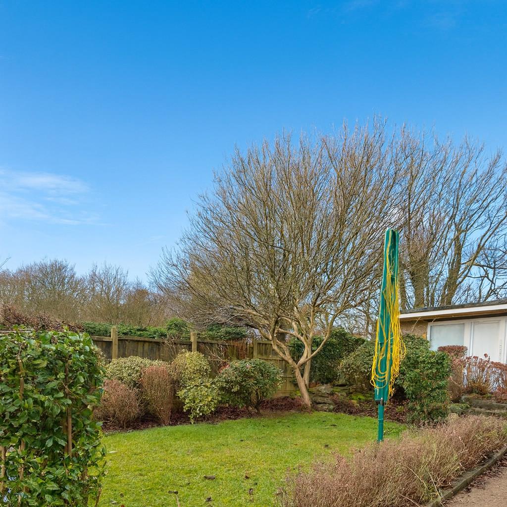 Back Garden