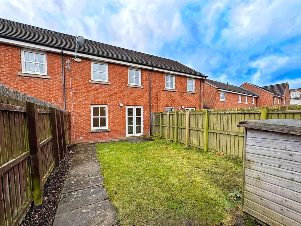 08 - Back garden 2