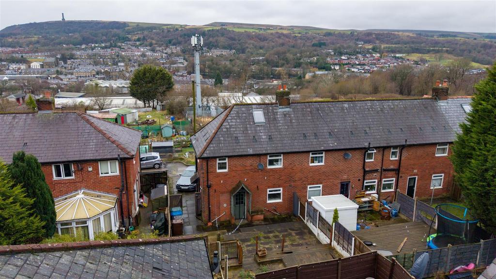DJI 20260207135221 0006 D.jpg