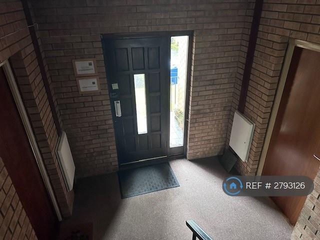 Rear Door