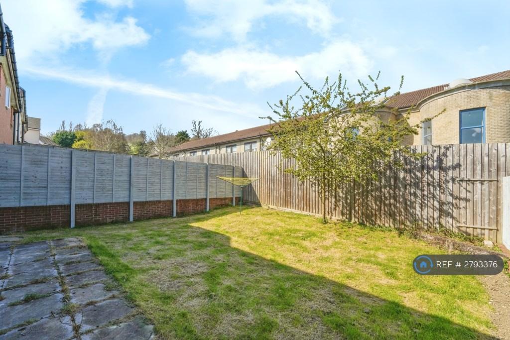 Back Garden