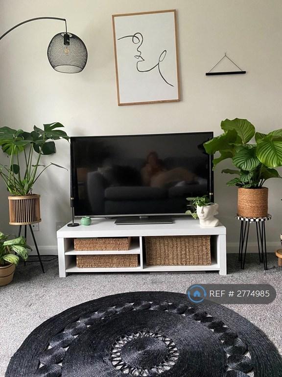 Tv Unit
